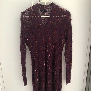 Blu Sage Long Sleeved Sequin Lace Dress Size 6P